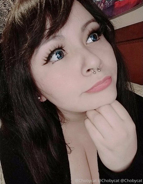 Chobycat