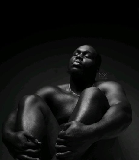 The Velvet Teddy Bear