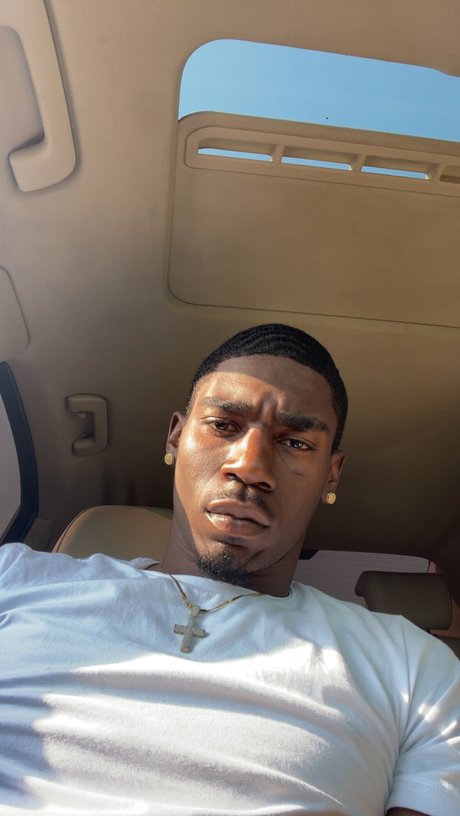 Mr11 Inches Of Horse Dick