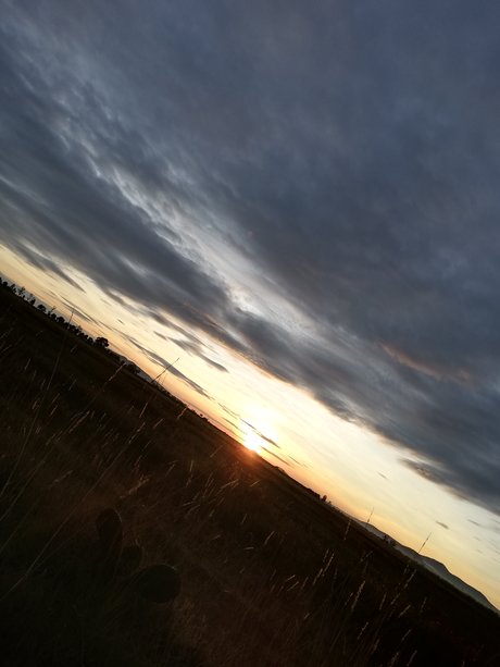 Carlos Daniel Snchez Estrada