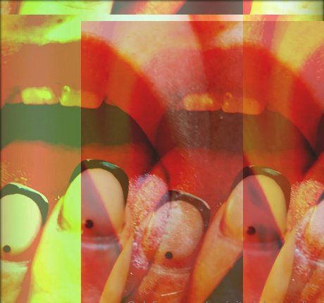 Vecinitadelquintofree