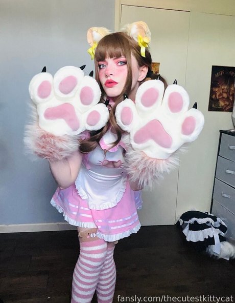 Thecutestkittycat