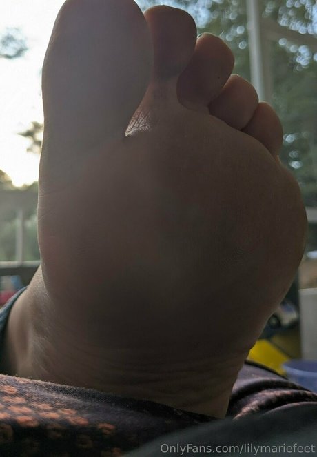 Lilymariefeet