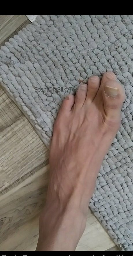Scentofasilkytoe