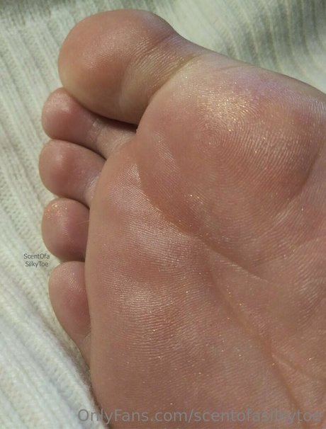 Scentofasilkytoe