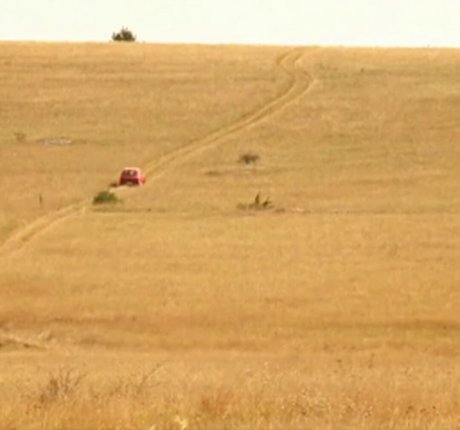 Explicit Movie Sex Scenes