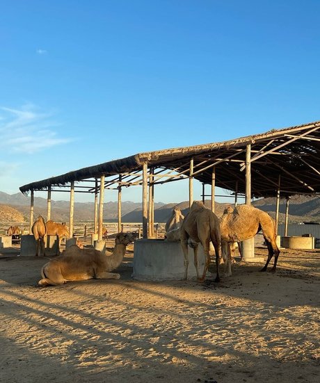 Victoria Missvictxria