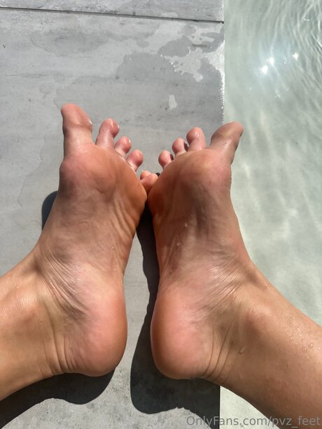 Pvz Feet
