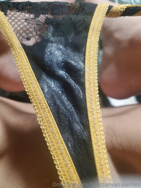 Foxiccanvas Pantyland