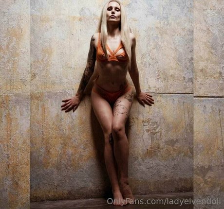 Ladyelvendoll
