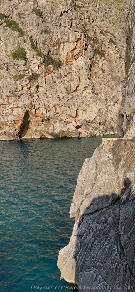 Swedishwannabebodybuild