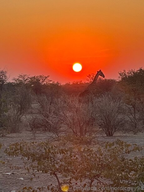 Nordicguy94