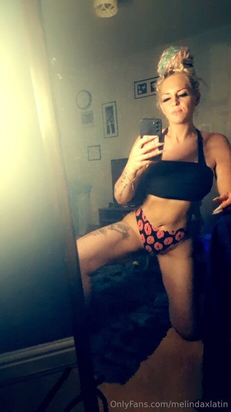 Melindaxlatin