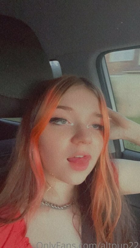 Altpup22