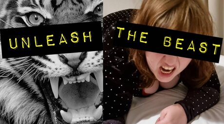  Sukkertits Free   Bbw  