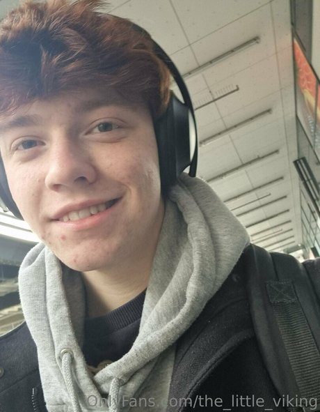 Thelittleviking
