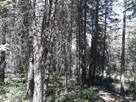 Devon Ellis  nude leaked OnlyFans photo