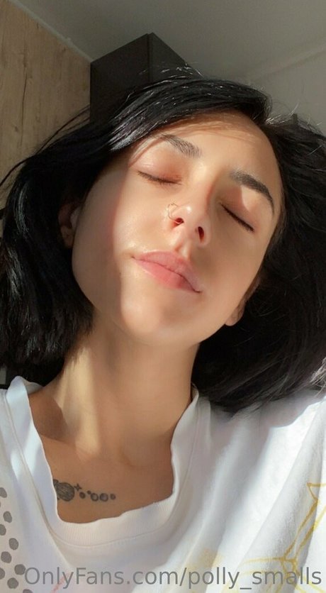 Pollysmalls