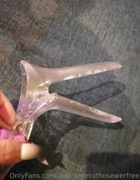 Welcometothesewerfree