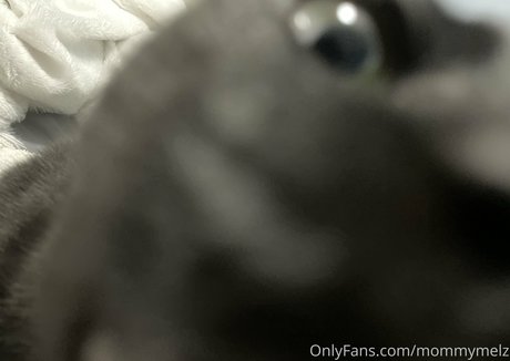 Mommymelz