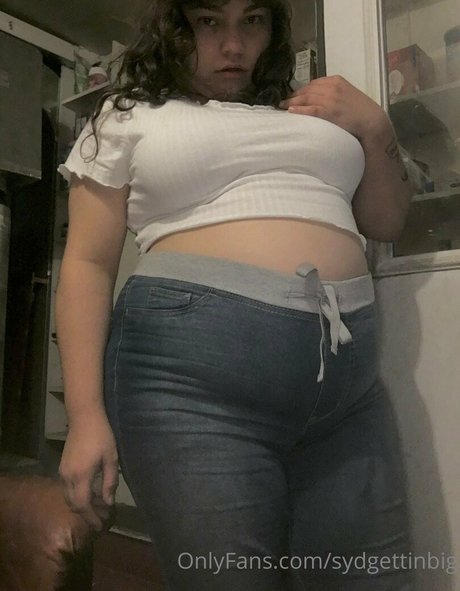 Sydgettinbig