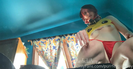 Purrfectlilpussy