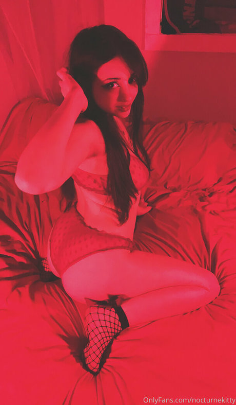 Nocturnekitty