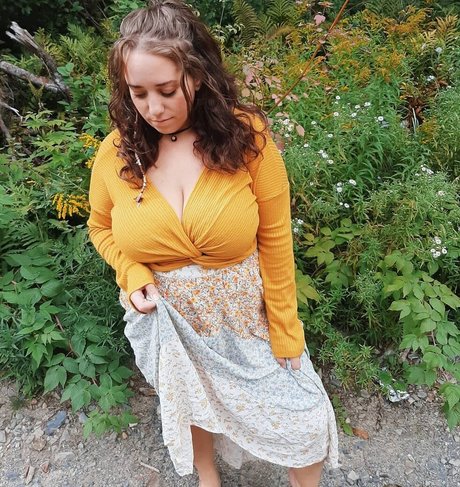 Lartdanstoutessesformes