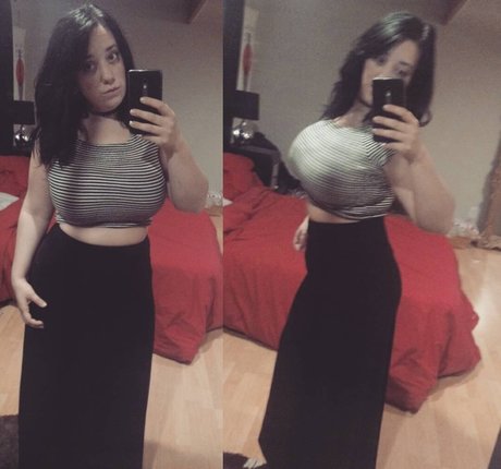 Lartdanstoutessesformes