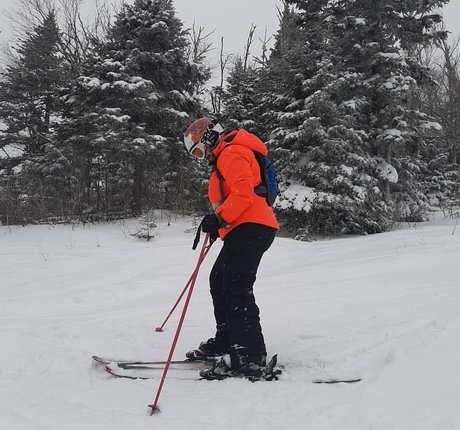 Lartdanstoutessesformes