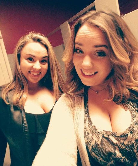 Lartdanstoutessesformes