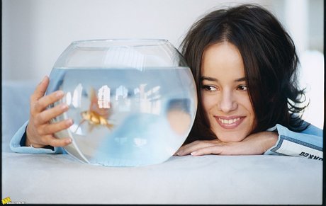Alizee