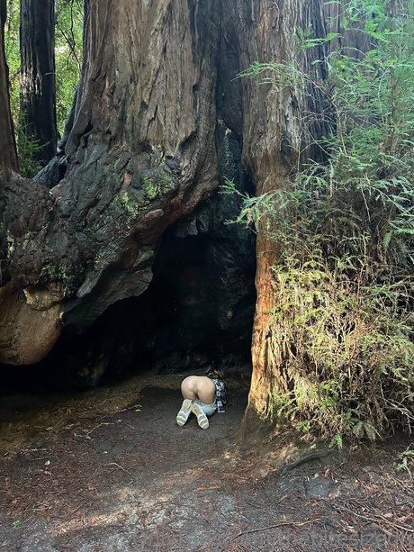 The Bite Sized Bitch