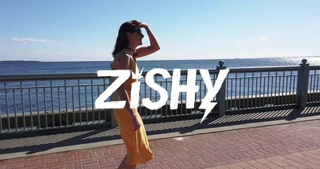 Zishy