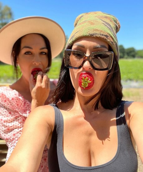 The Bella Twins