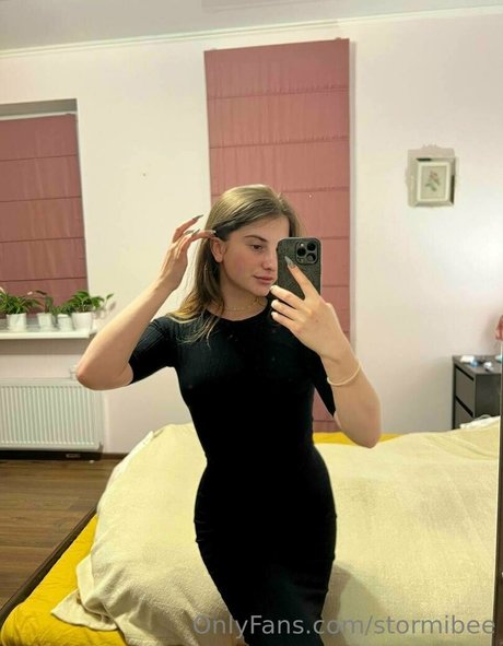 Stormibee