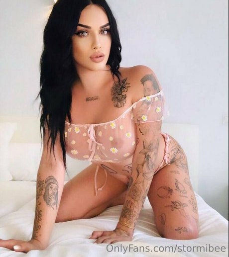 Stormibee