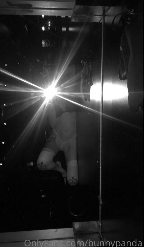 Bunnypanda