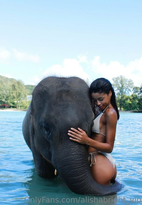 Alishabrightvip