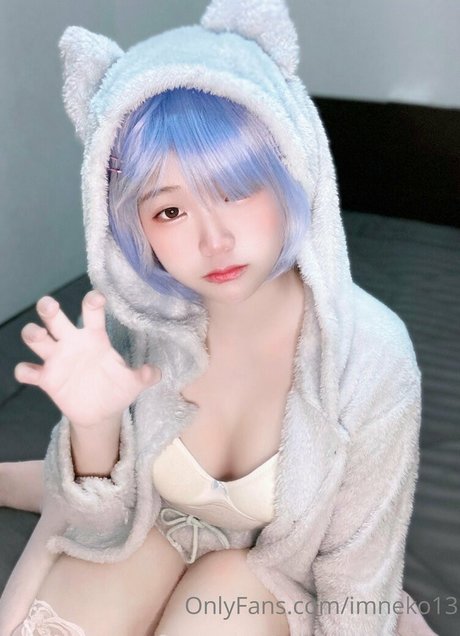 Imneko13
