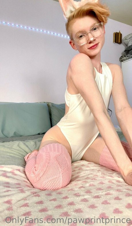 Pawprintprince