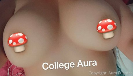 Collegeaura