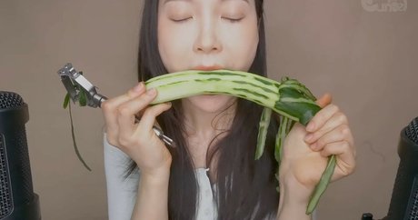 Eunzel Asmr