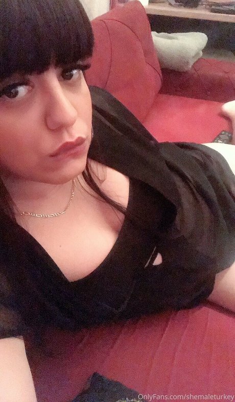 Shemaleturkey