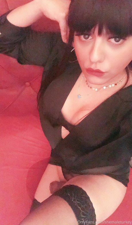 Shemaleturkey