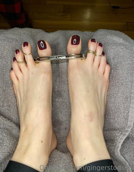 Gingerstoesies