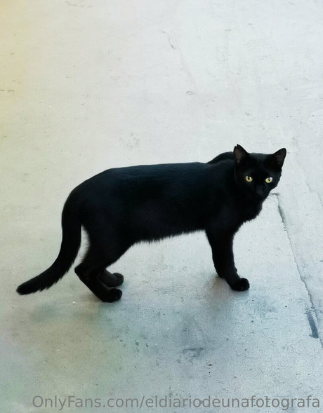 Eldiariodeunafotografa