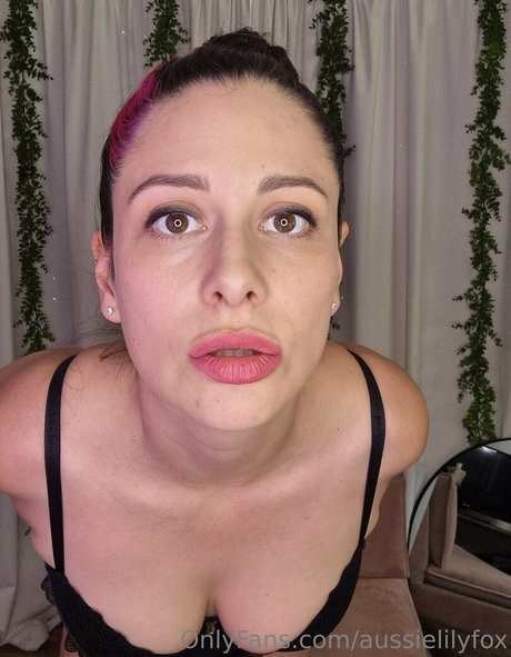 Aussielilyfox