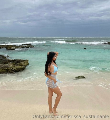 Cerissasustainable