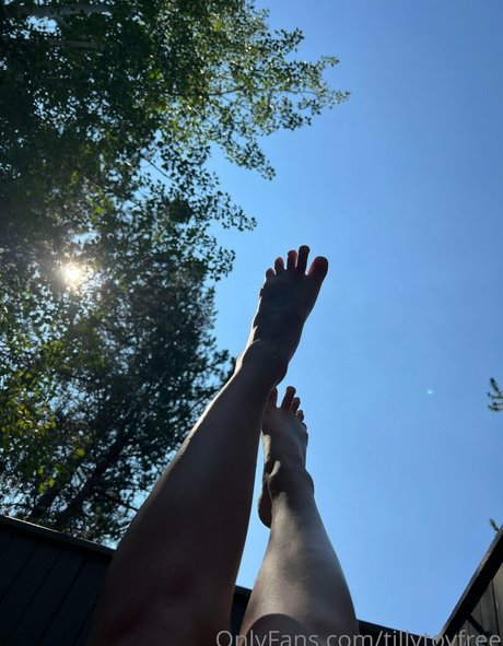Tillytoyfree